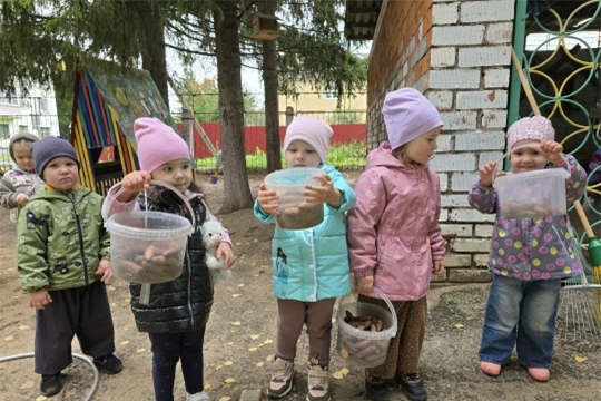 Полезная прогулка
