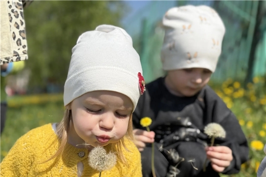 Одуванчик - жёлтый сарафанчик!