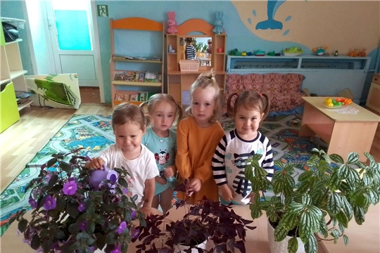 "Полив комнатных растений в младшей группе"