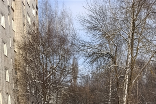 21.02.2026 Акция «Помоги дворнику»