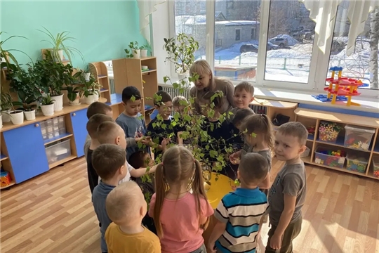 30.03.2026 "Наблюдение за веточкой берёзы"