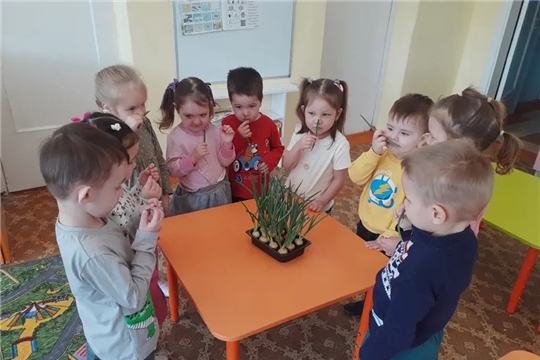 31.03.2026 "Зелёный лук"