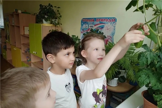 18.05.2026 "Огород на подоконнике"