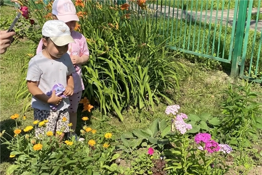 10.07.2026 "Лето — удивительная пора открытий!"