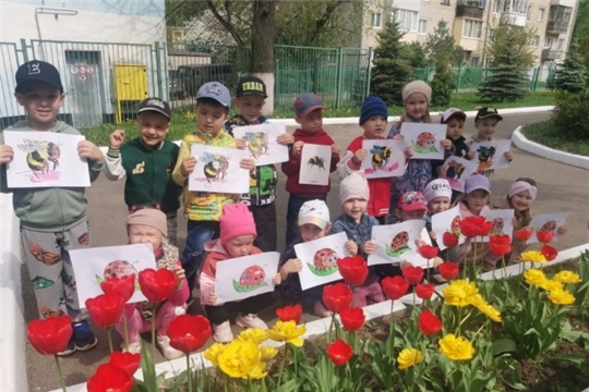 День наблюдения за насекомыми