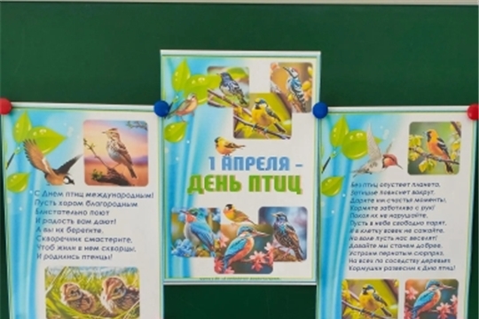 День птиц