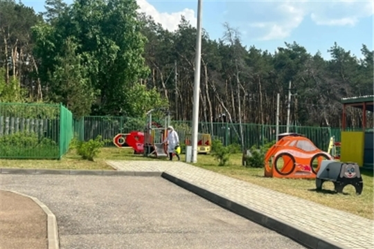 Клещевой  энцефалит