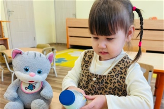 Всемирный день кошек