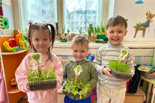 Зелёные витамины