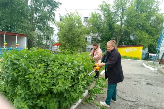 Плановые работы по уходу за территорией