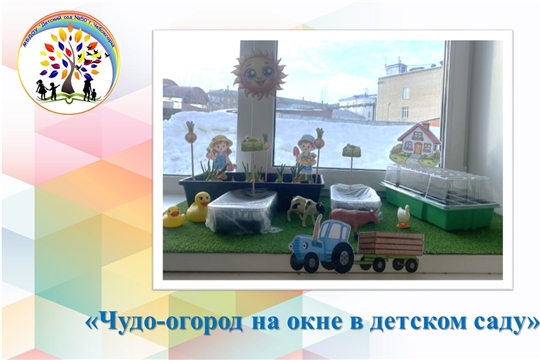 «Чудо-огород на окне» в детском саду