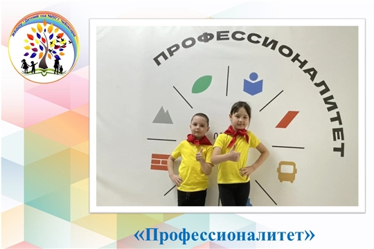 Профессионалитет