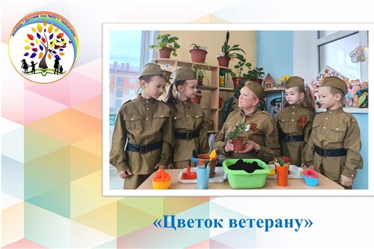 Цветок ветерану