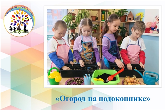 Огород на подоконнике