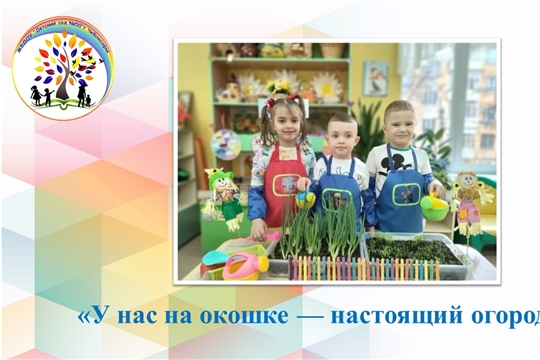 У нас на окошке — настоящий огород!