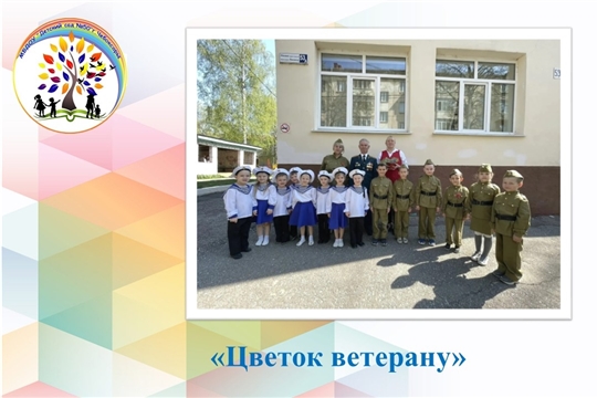 Цветок ветерану