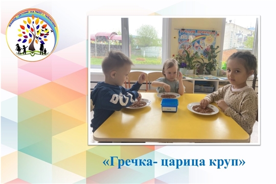 Гречка- царица круп