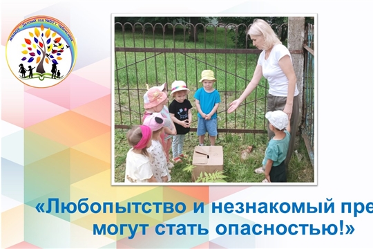 Любопытство и незнакомый предмет могут стать опасностью