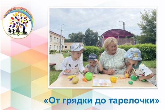 От грядки до тарелочки