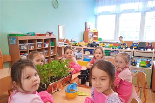 Сегодня мы в старшей группе "Почемучки" учились пикировать рассаду