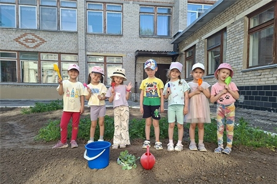 Огород на участке детского сада