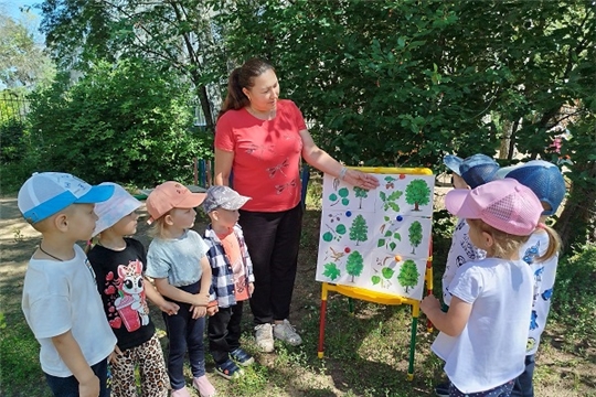 Познавательный час «С какого дерева листок»