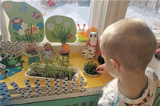 Огородик зеленеет