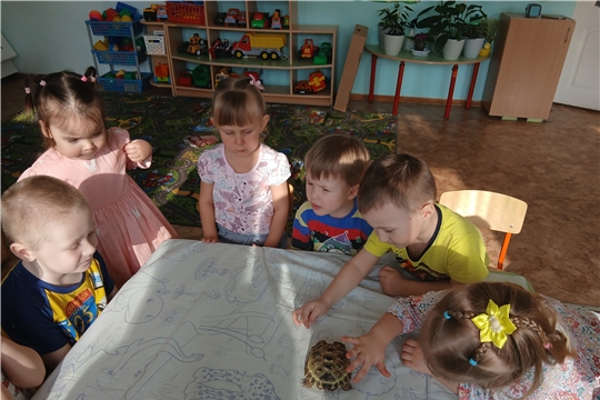 Черепашка в гостях у детей