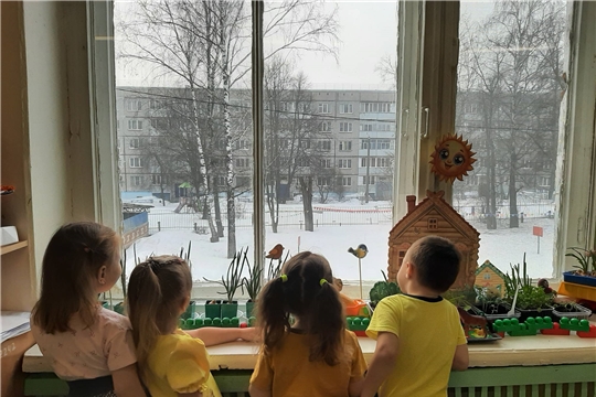 Наблюдение за туманом