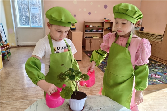 Цветок ветерану