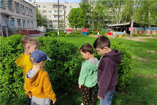 Осторожно, клещи