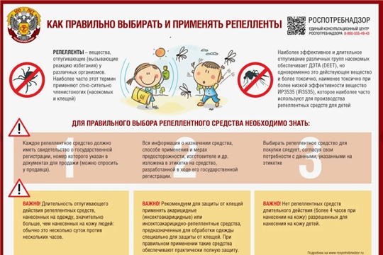 Насекомые летом