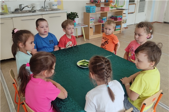 Огурцы летом