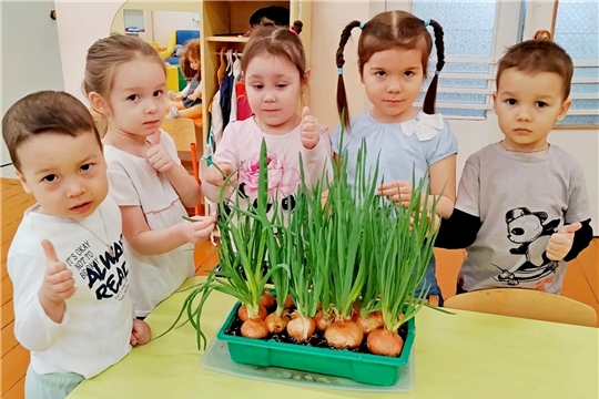 Наш первый урожай!