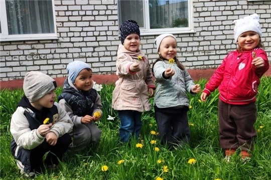 Всемирный день одуванчика!