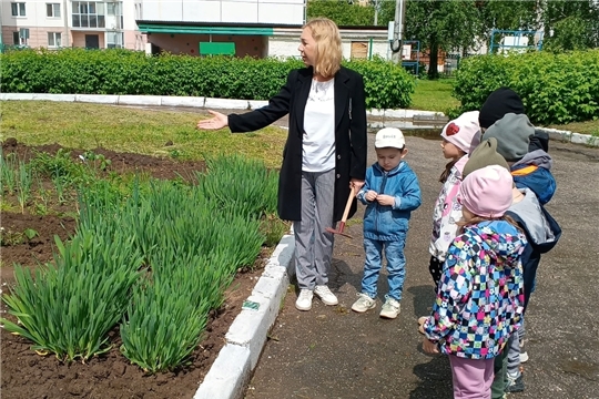 Огород в детском саду