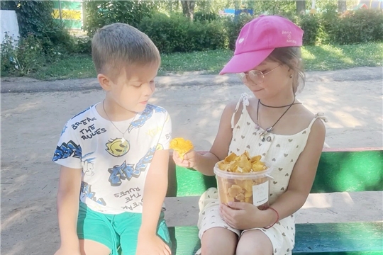 Ядовитые грибы и ягоды