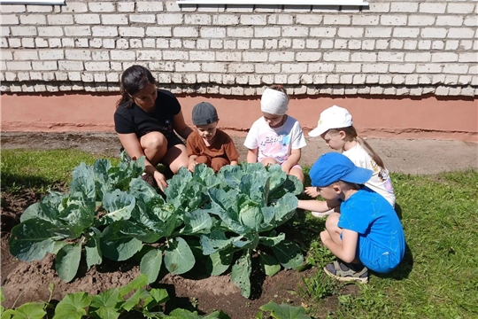 Крестьянский суп