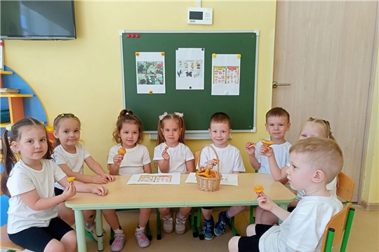 Ядовитые грибы и ягоды.