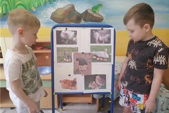 Беседа «Какие яйца полезные»