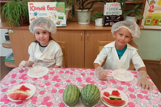 Полезные свойства арбуза
