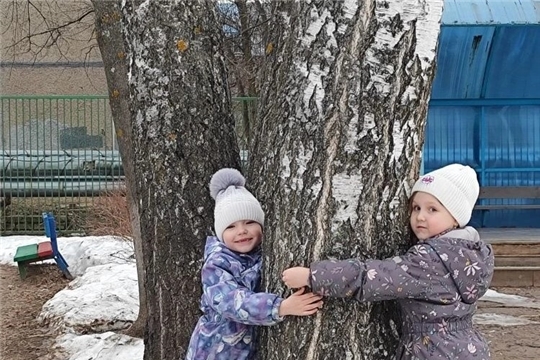 День березы