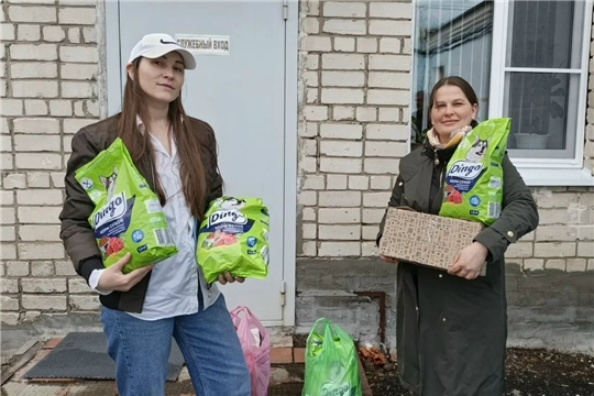  С заботой о тех, кто рядом: благотворительная акция для бездомных собак