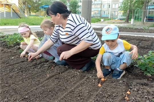 Огородные будни: посадка овощей и зелени