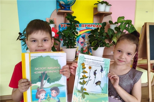 Летняя лаборатория в саду: учимся видеть красоту
