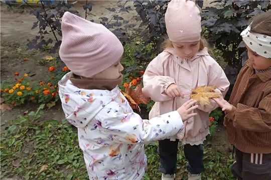 "Познаём мир: воспитанники группы "Капелька" наблюдали за улиткой"