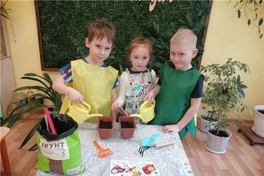В рамках акции «Цветок от всей души» ребята из группы «Вишенка» сажают семена разных цветов. 