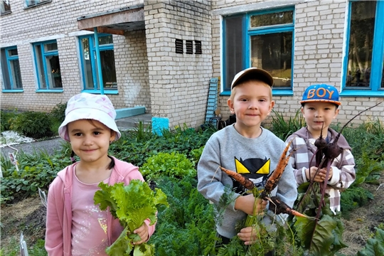 Самые полезные овощи-это овощи, выращенные самостоятельно.