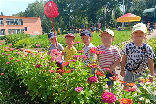 Краски лета: знакомство с миром насекомых