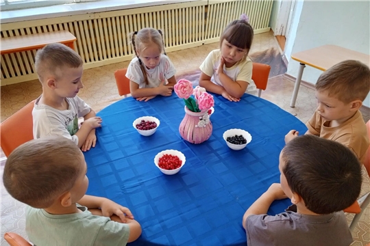 Летние ягоды – кладезь витаминов